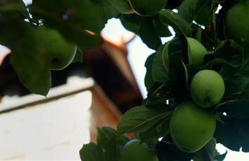 Casitas Del Huerto - Foto 31