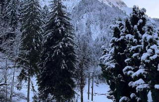 Chalet le Nutshell - au calme - AravisTour - Photo 44