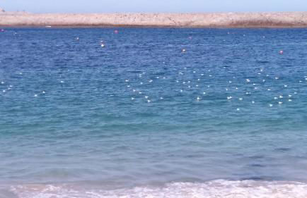 Península de la paz - Foto 25