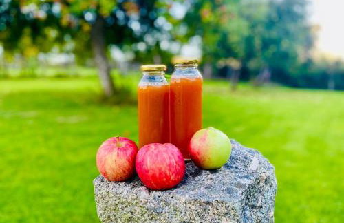 The Apple Shed - cosy cabin nestled in orchard in rural Devon - Foto 32