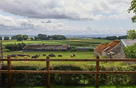 Wallhope Retreat - Photo 22