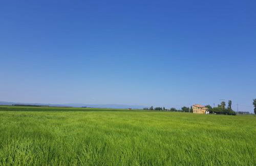 La Ultima Casa Masboquera - Foto 65