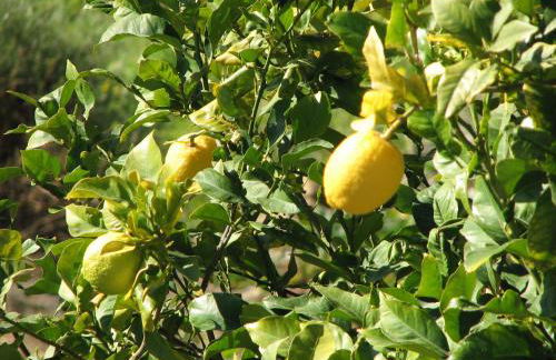 Villa Perla Blanca - Foto 64