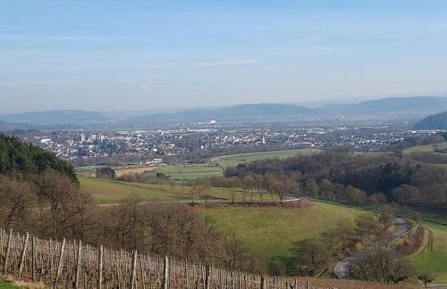 Holiday Apartment Falkenlay - Foto 39