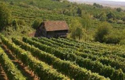 Villas Salvore & Faro - Perfect combination of nature, sea and comfort, heated pool, games room, Savudrija - Istria - Foto 61