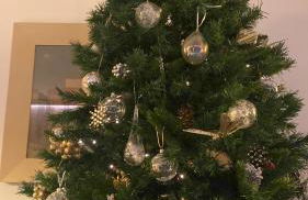 The Grey Lodge at Bosco Verde - Photo 38