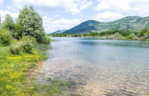 Forest Escape - Foto 45