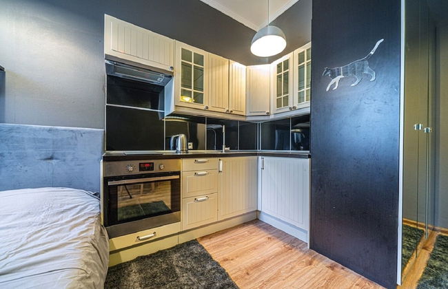 Loft Petrograd Apartment 2 - Foto 8