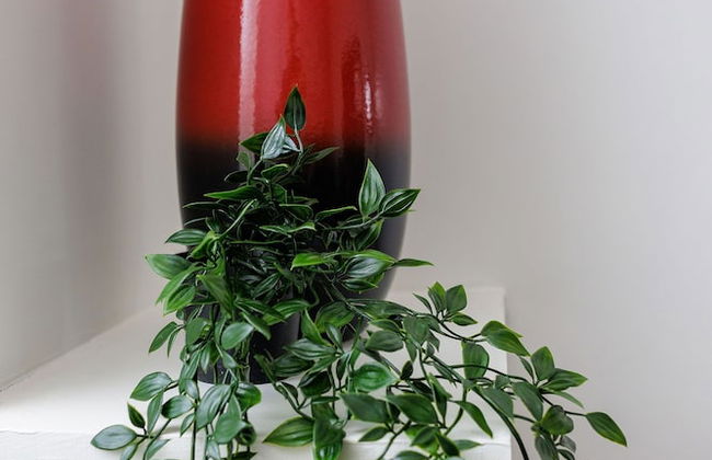 Hibbert Galore - Foto 3