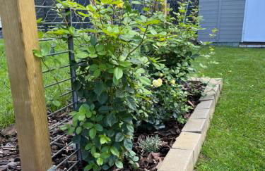 CASALINO DI ANNA 2 - Foto 20