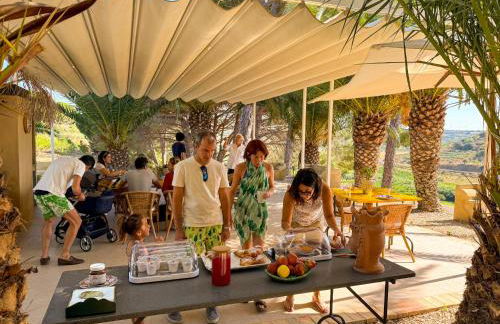 Tenuta Bartoli - Foto 59