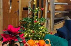 Domek Cichy Zakątek Beskid Niski - Foto 69