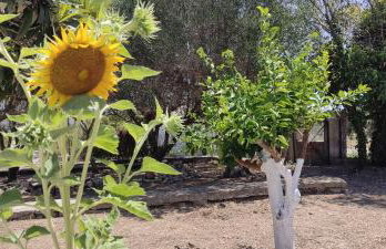 Regina house - Foto 5