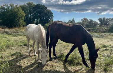 Villa Casina dell'Etna - Foto 60