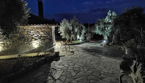 Elaion Thea2-Nies - Foto 4