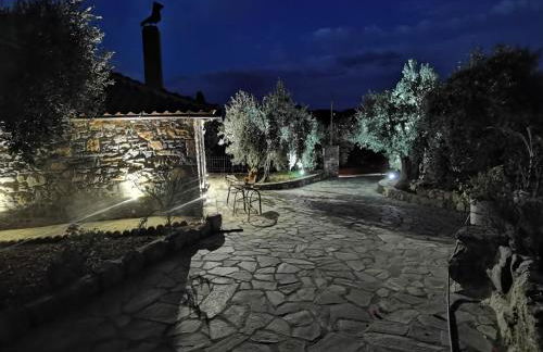 Elaion Thea2-Nies - Foto 4