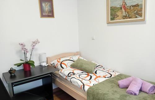 Apartmani Ani - Foto 78