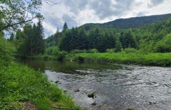 Hörnleblick - Foto 17