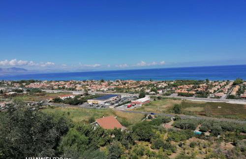 Stella marina - Foto 21