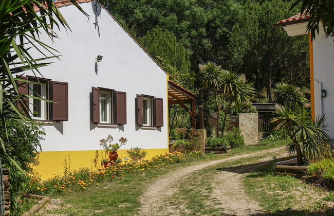 Quinta Camarena - Foto 59