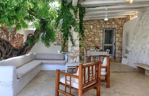 Al Marchello offline - Foto 19