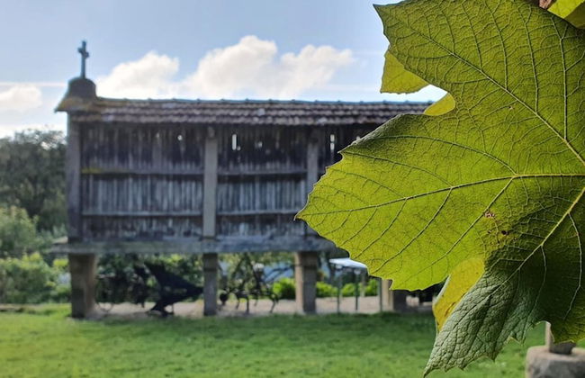 Fogar Do Selmo - Photo 27