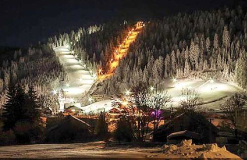 Charmant logis Gérardmer - Photo 45