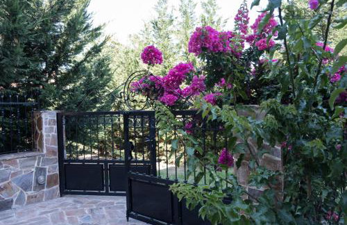 Villa Konstantina - Foto 62