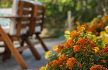 La Casetta di Ludo - Foto 10