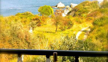 Kyra's Paradise - Foto 4