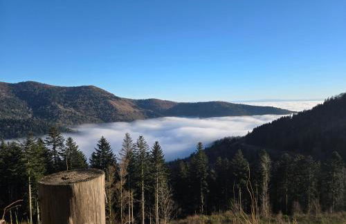 Chalet Le DRUZIA at 1000 m - Foto 40