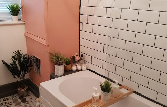 Albert Rd - Photo 22