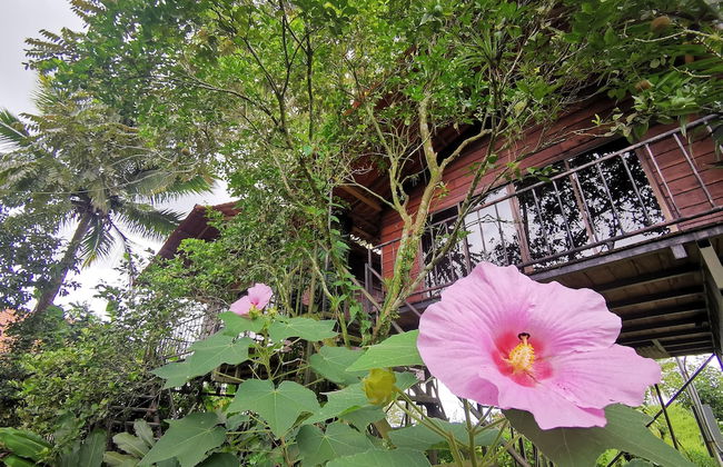 Las Cabanas - Foto 73