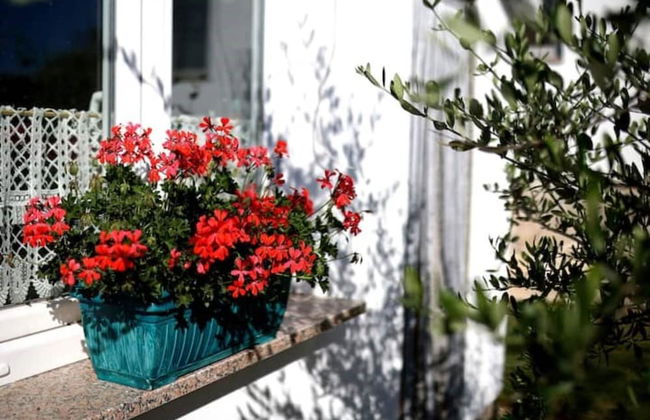 Summer House Amon - Foto 37