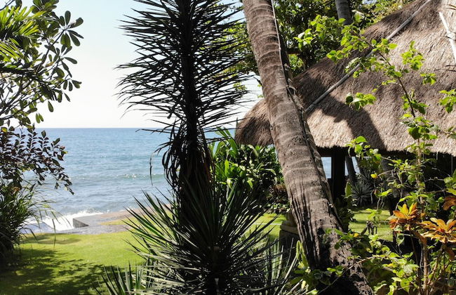 Ciliks Beach Garden - Foto 17