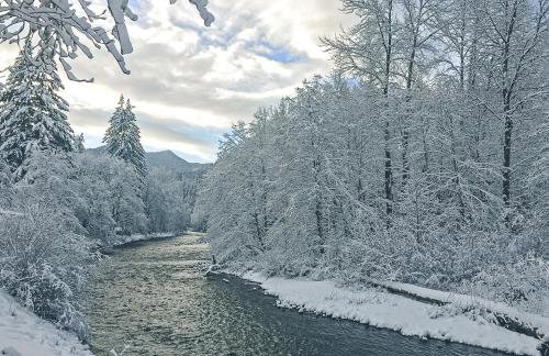 Salmon River Condo #5 - Foto 39