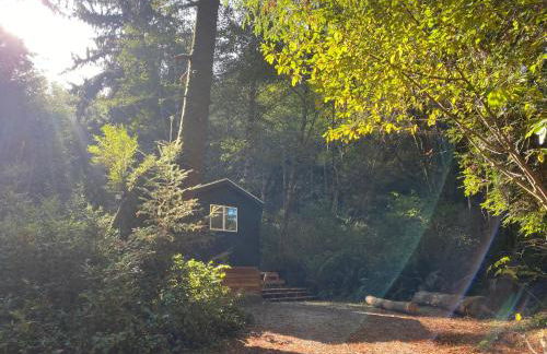 The Black Bear Cabin - Foto 7