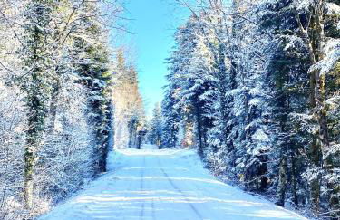 Chalet des Lacs - Foto 23