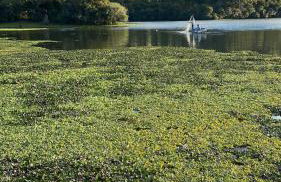 Casa Salto Caveiras - Foto 23