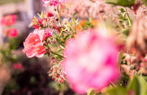 Damm Apartments - Foto 32