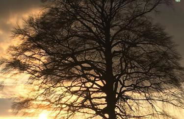 Erholsamer Traumurlaub wo auf Bergen Schlößer wachsen - Foto 18