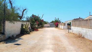 Ville Scelsa - Foto 3