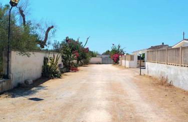 Ville Scelsa - Foto 3