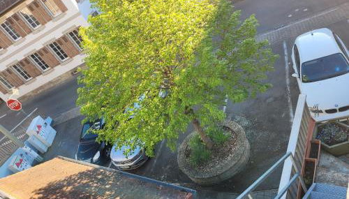 RELAX PUR in der NATUR I - Foto 4