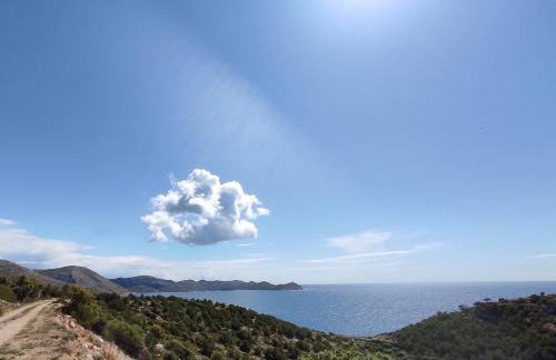 Apartman Portorus - Foto 21