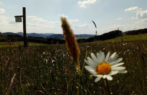 Mia und Michel im Sauerland - Foto 13