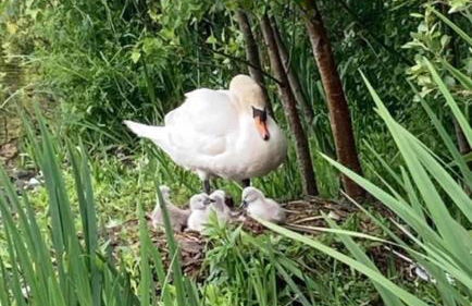 Betty’s Hideaway - Photo 34