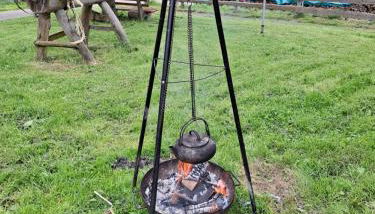 Schwarzwaldblick - Foto 3