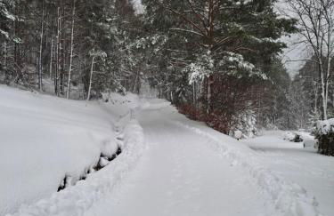 NORDIQUES DE LA WELCHE - Foto 8