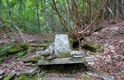 Black Bear Cabin by Carolina Mornings - Foto 40